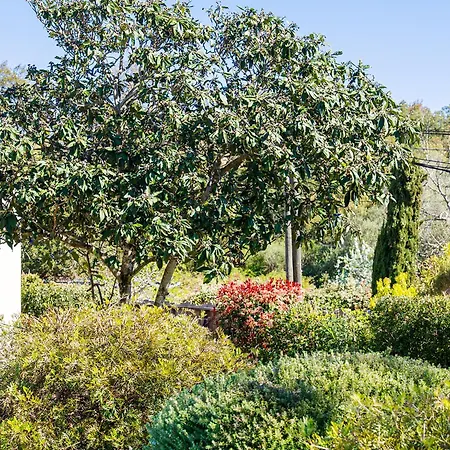 Aria Natura, Calme Serenite Piscine Chauffee * Porto-Vecchio